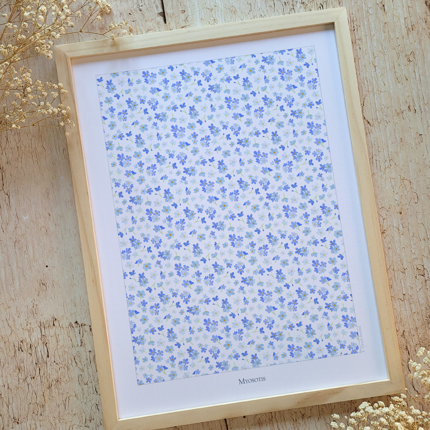 Affiche "Myosotis"