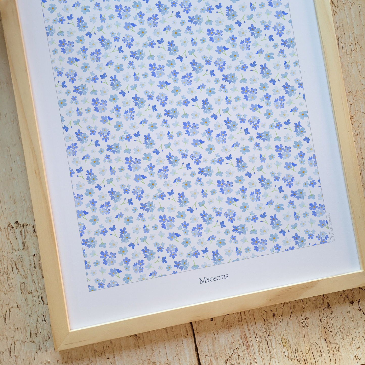 Affiche "Myosotis"