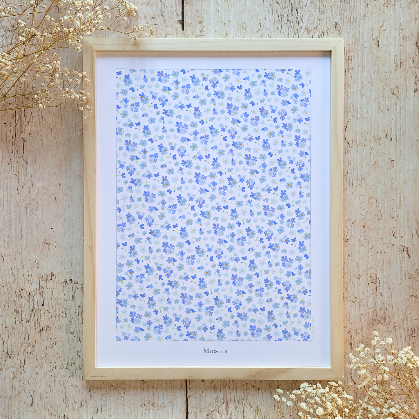 Affiche "Myosotis"