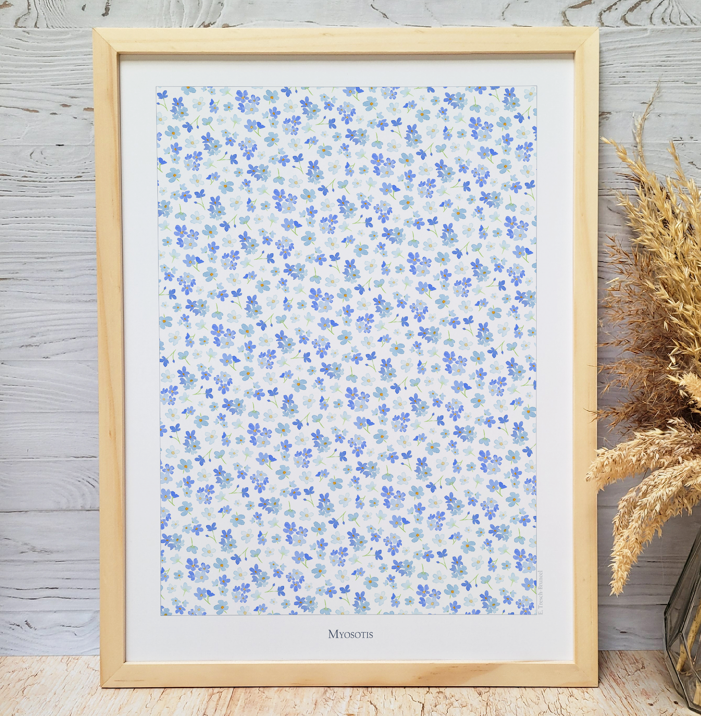 Affiche "Myosotis"