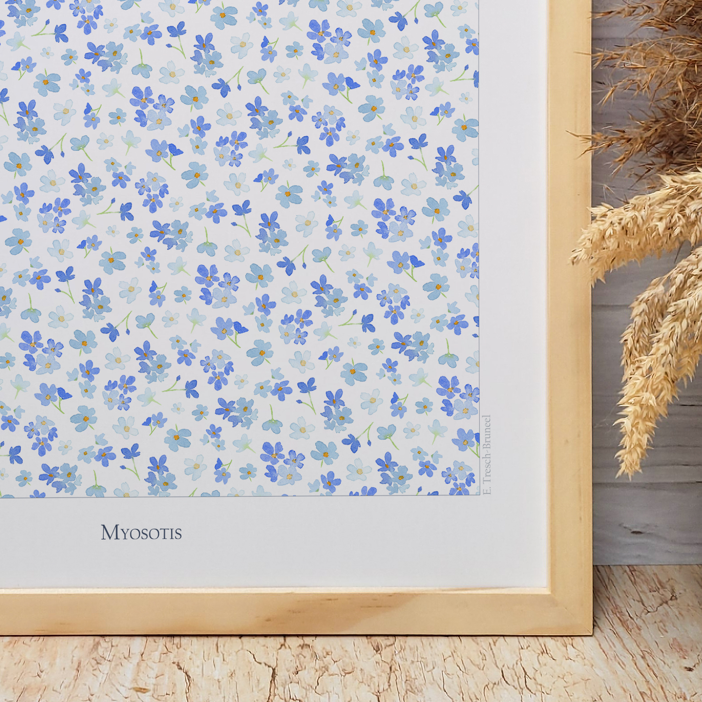 Affiche "Myosotis"
