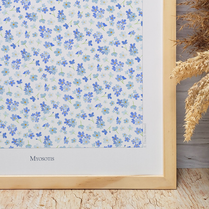 Affiche "Myosotis"